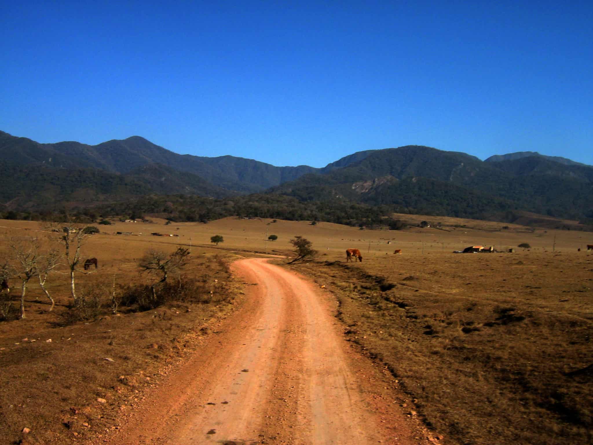 Bolivia Chaco Fund Dry Road Iniguazu